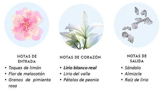 Aroma Oriflame Tenderly Promise