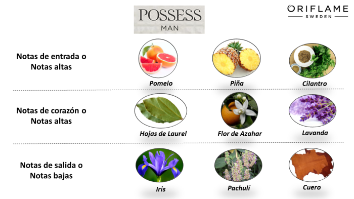 Piramide Olfativa Posses Man